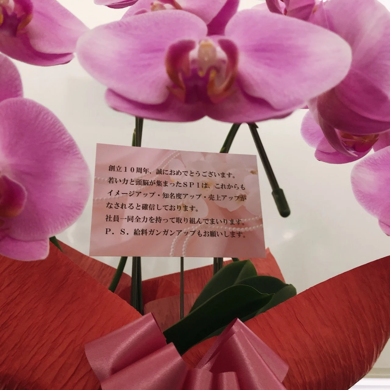 記事の写真（2枚目）