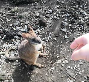 記事の写真（12枚目）