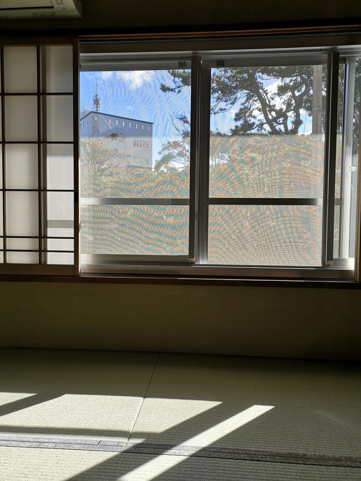 記事の写真（17枚目）