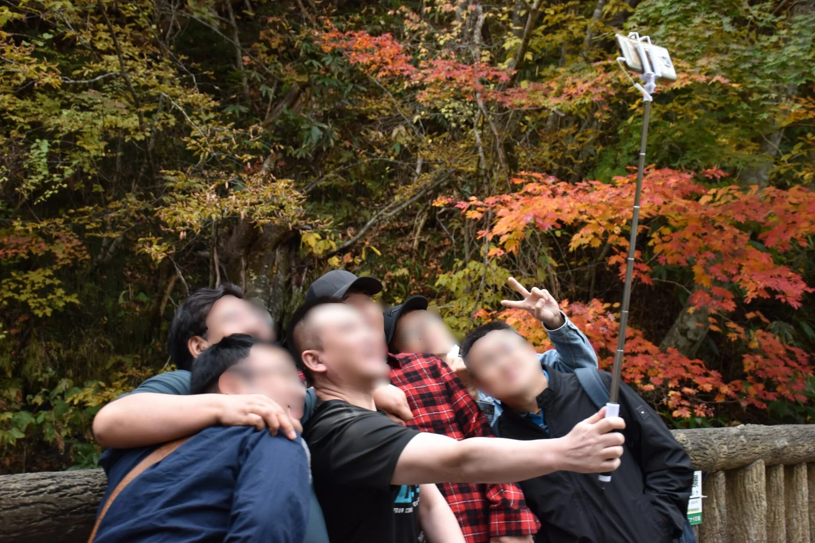 記事の写真（7枚目）