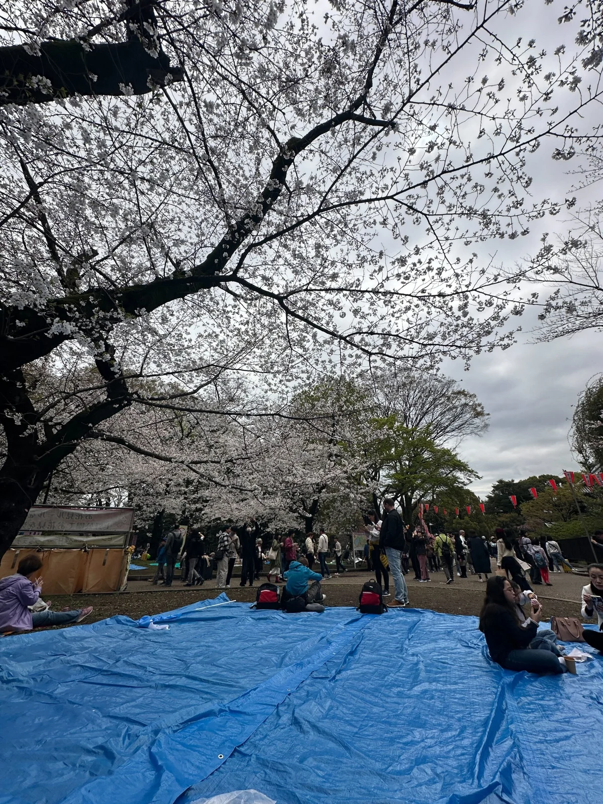 記事の写真（2枚目）